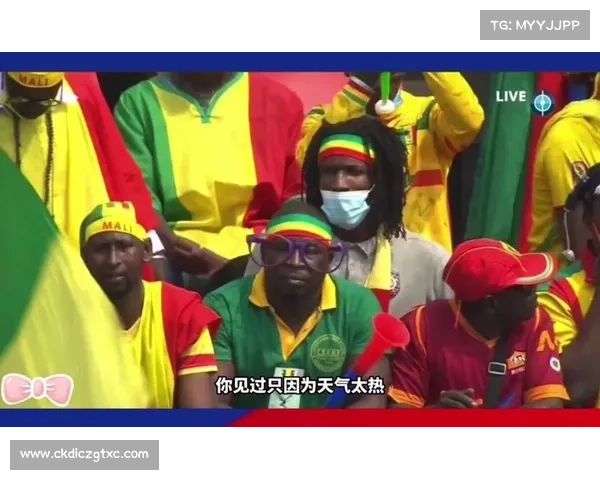 两次提前吹响终场哨,非洲杯从来不缺故事 两次提前吹响终场哨,非洲杯从来不缺故事
