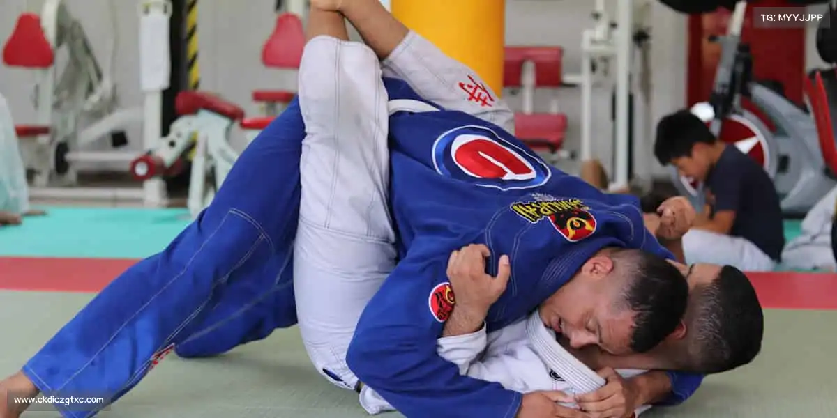 pc28预测——🎣健康生活，运动先行！